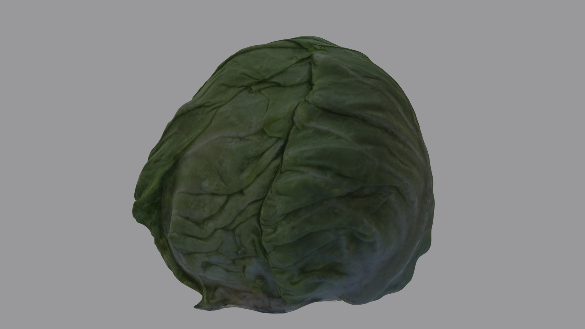Cabbage Head preview image 2